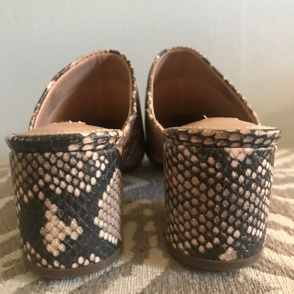 ๐ Steven Snake Skin Block-Heel Pointy Mules - Picture 10 of 12